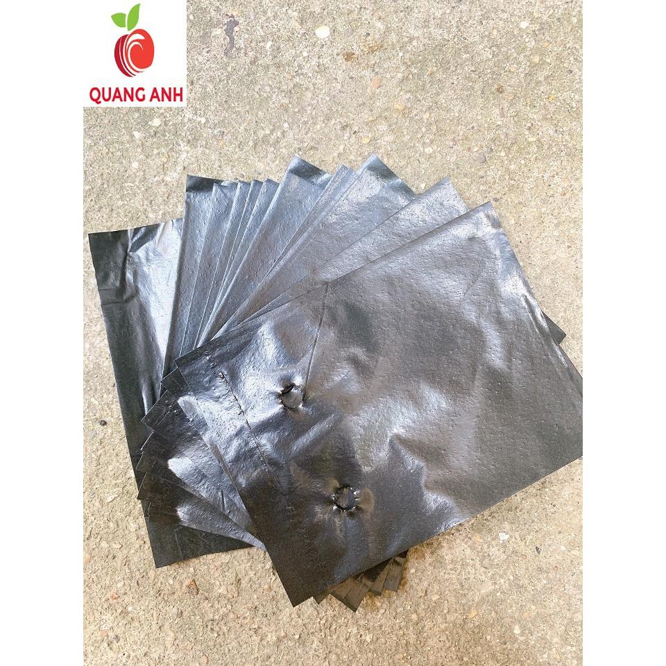 1kg TÚI BẦU ƯƠM CÂY