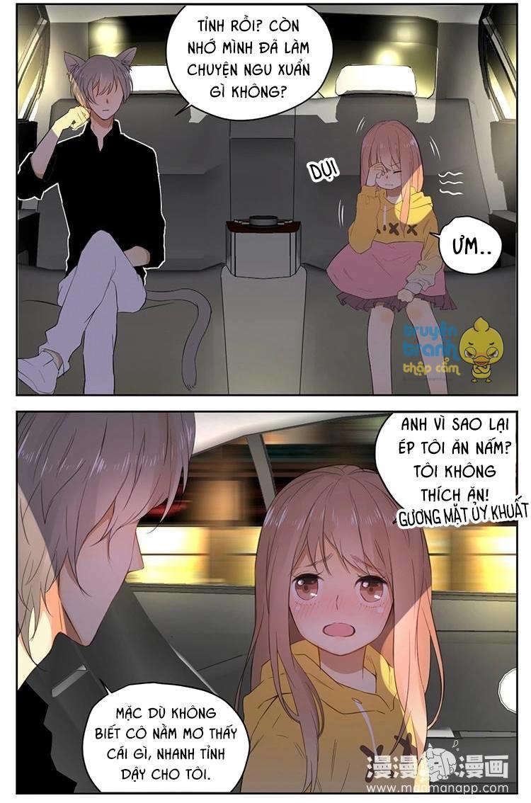 cứu mạng ! loài mèo thống trị thế giới rồi ! chapter 26 18