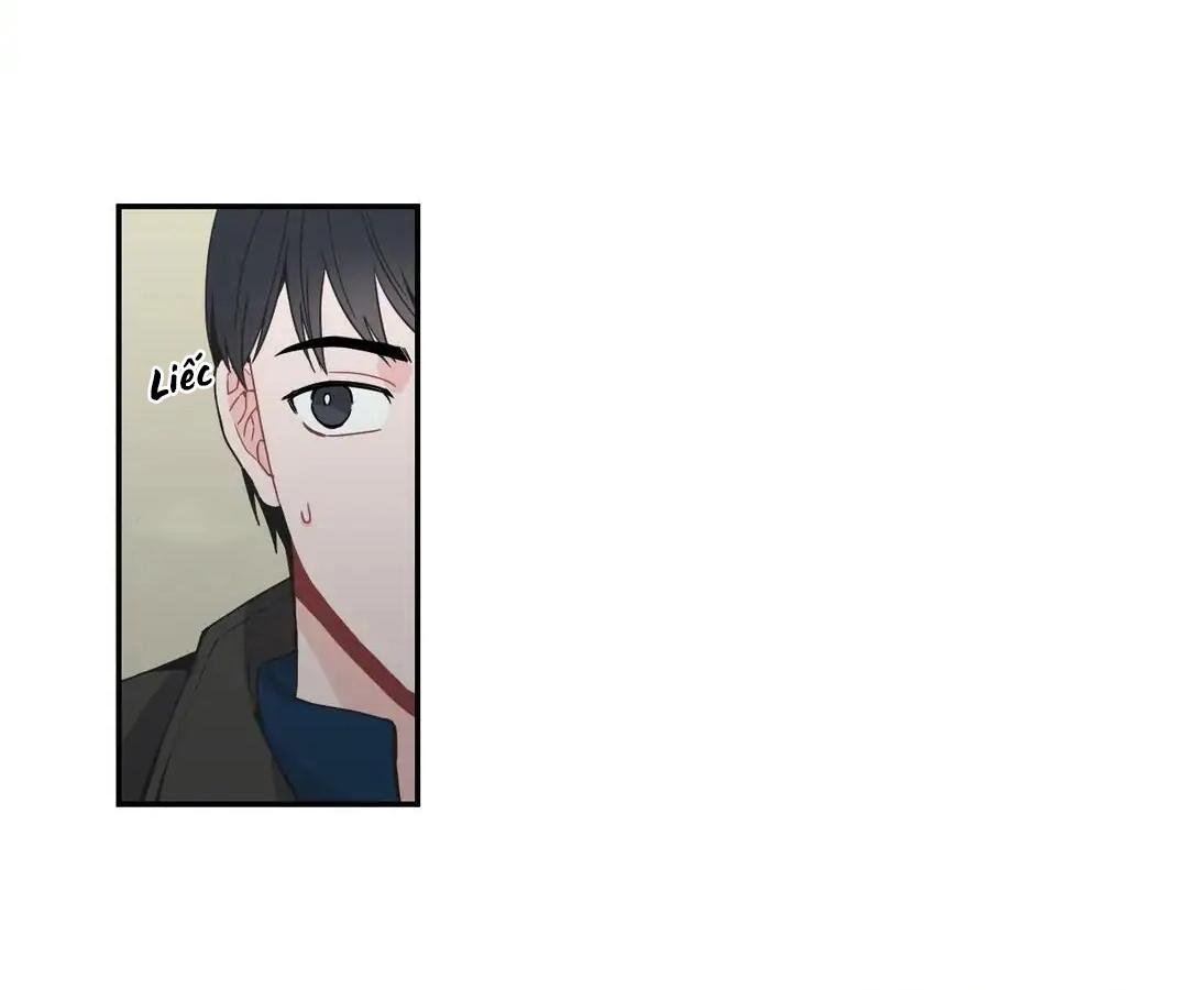 đường ranh giới chapter 29 18