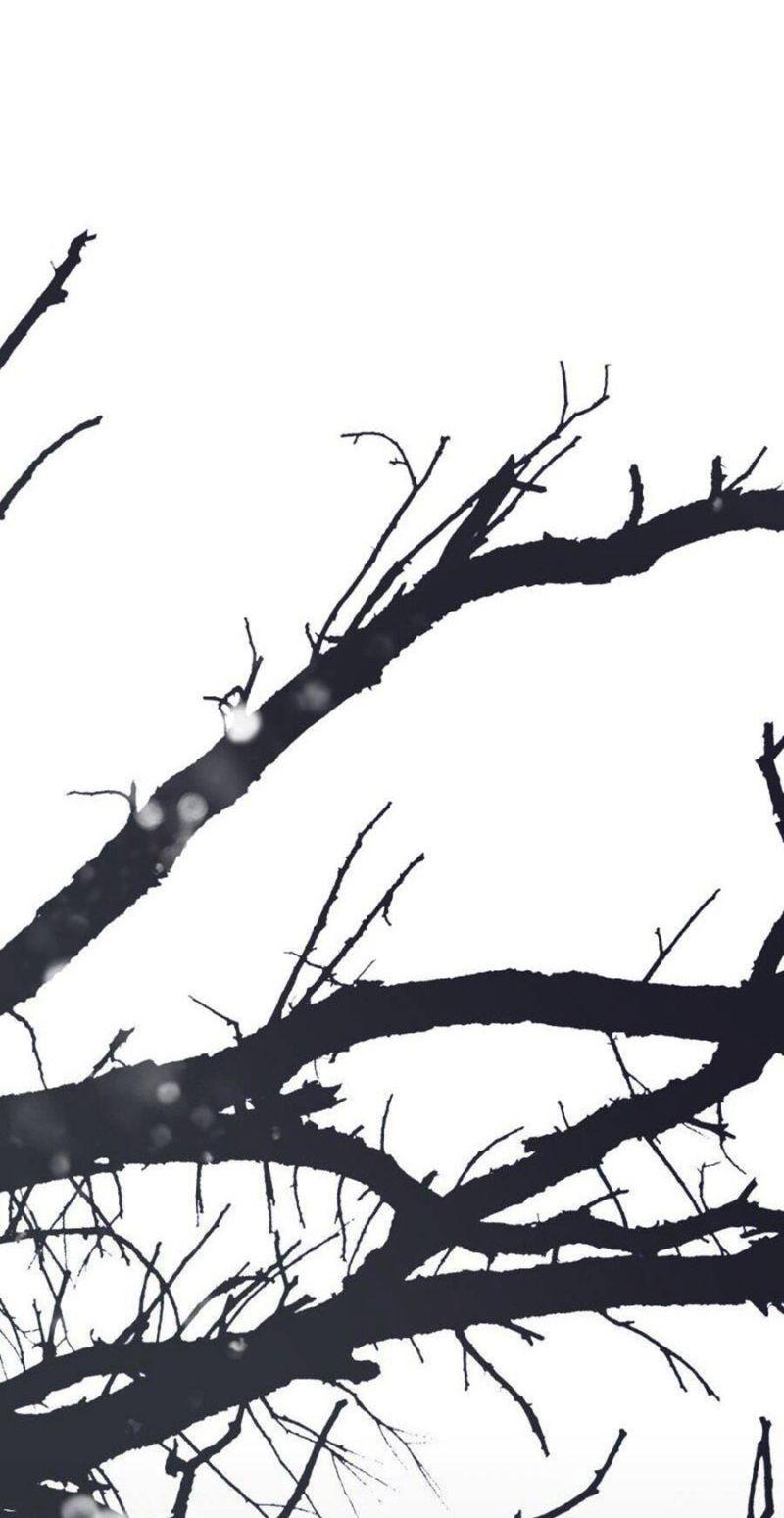 tử thần chapter 46 100