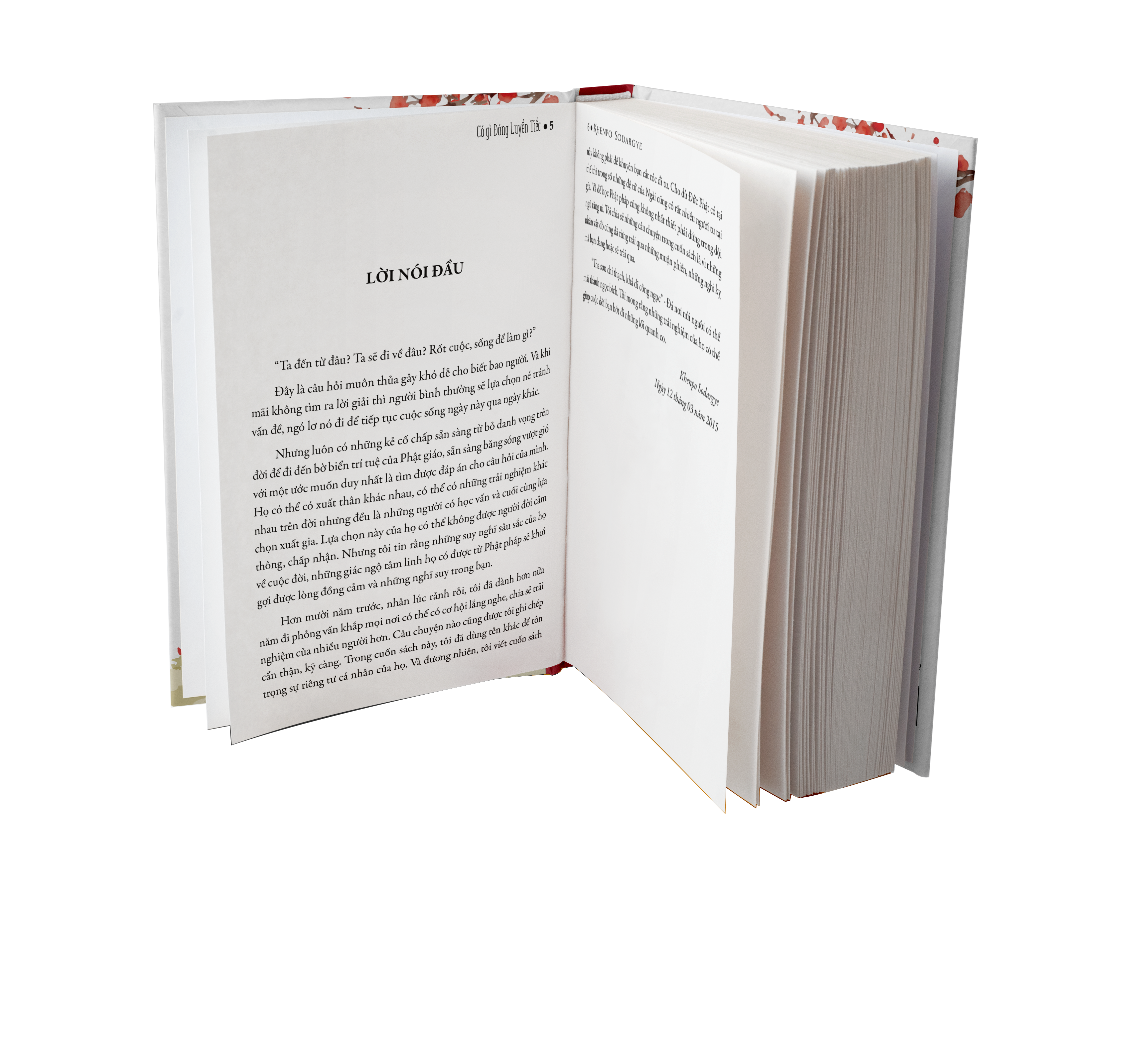 Sách Có Gì Đáng Luyến Tiếc - Sách Tôn Giáo, Nghệ Thuật Và Văn Hóa, Tác Giả KHENPO SODARGYE - Á Châu Books, bìa mềm, in màu