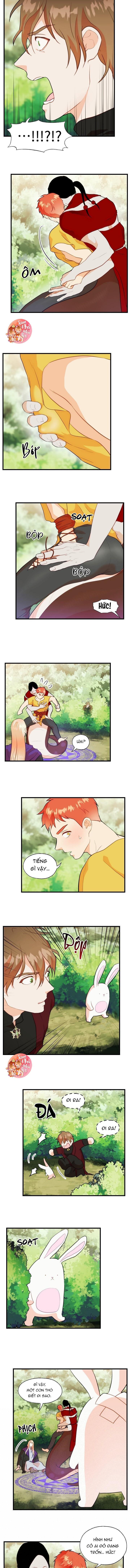 phù thủy gợi tình chapter 26 5