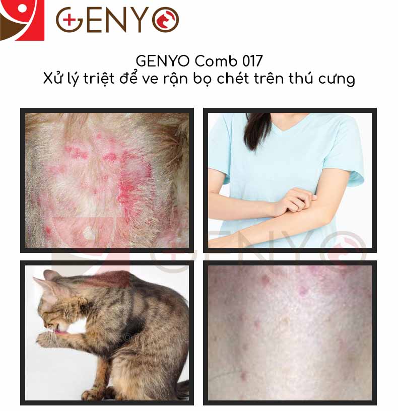 Lược tuốt ve rận bọ chét ve ghẻ cho thú cưng – Genyo comb 017 ( một cái, giao màu ngẫu nhiên )