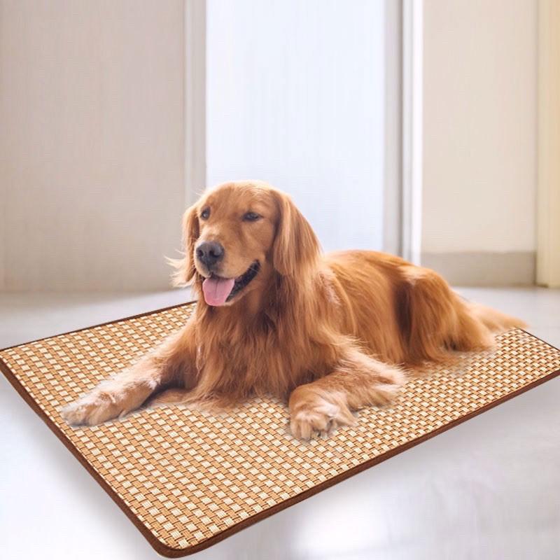 Chiếu mây điều hoà không nóng cho thú cưng