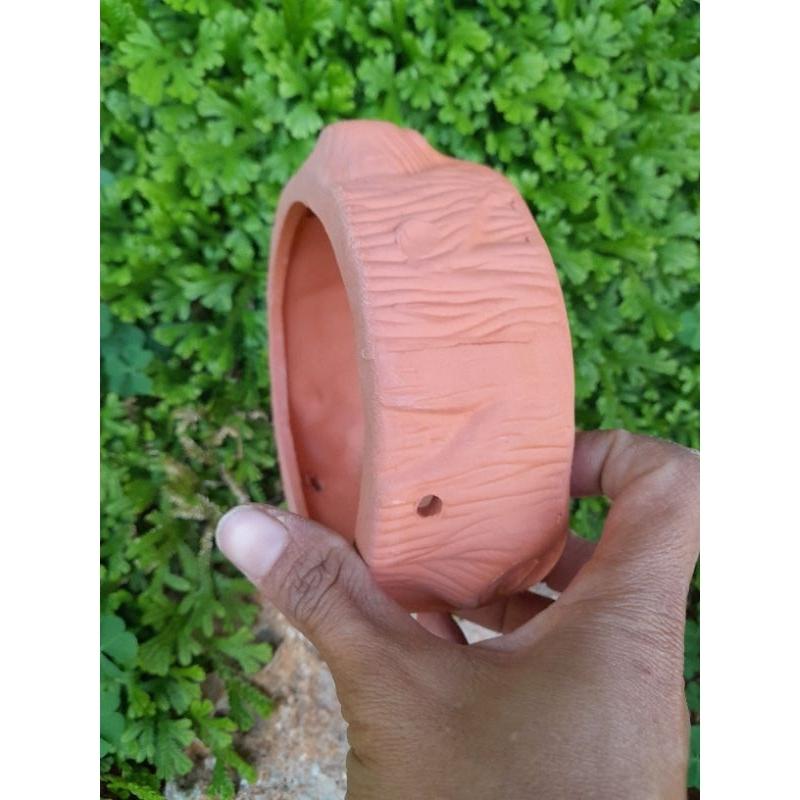 Chậu trồng cây mini - chậu trồng bonsai - chậu trồng sen đá