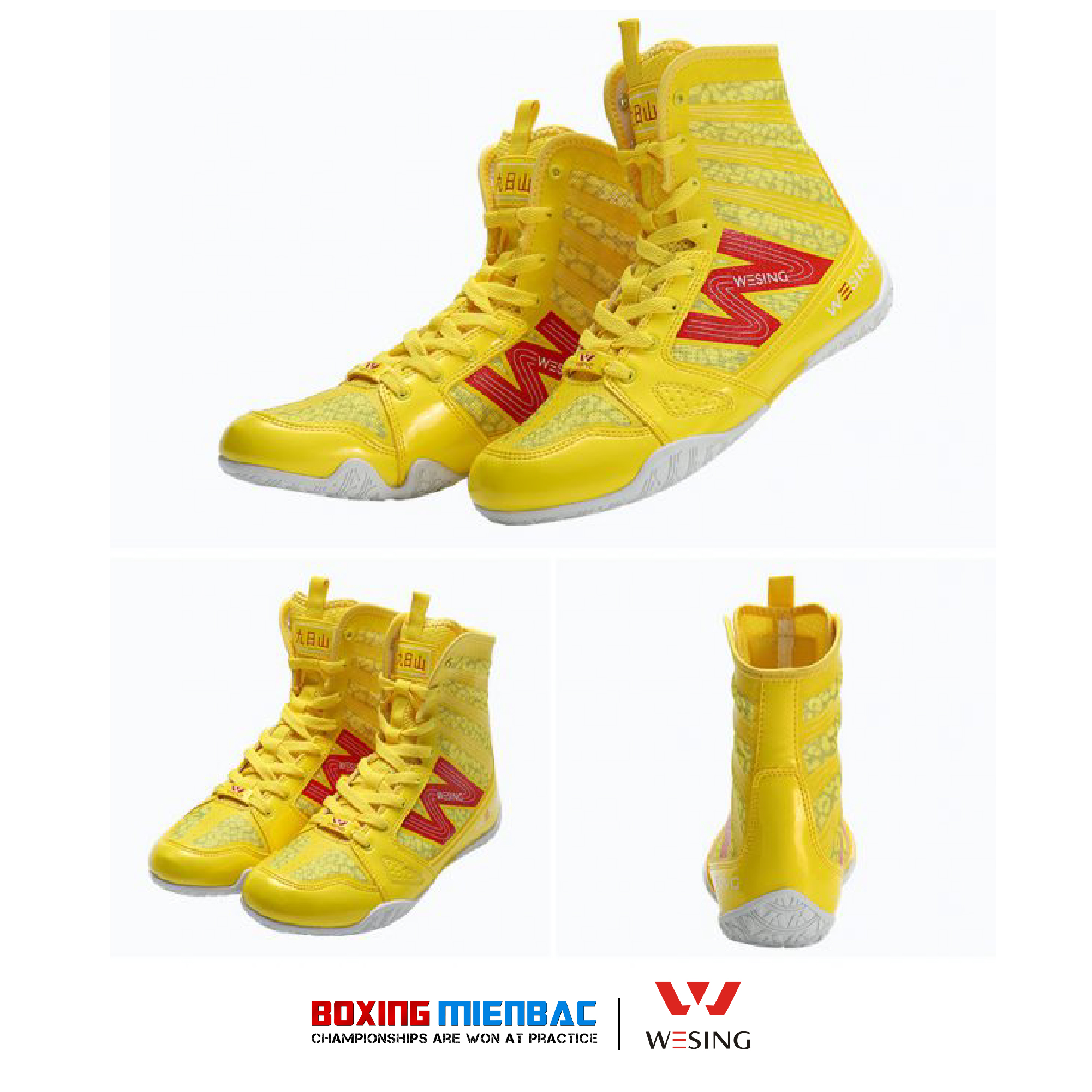 Giày Boxing Wesing - Boxing Shoes Wesing/ Màu Vàng