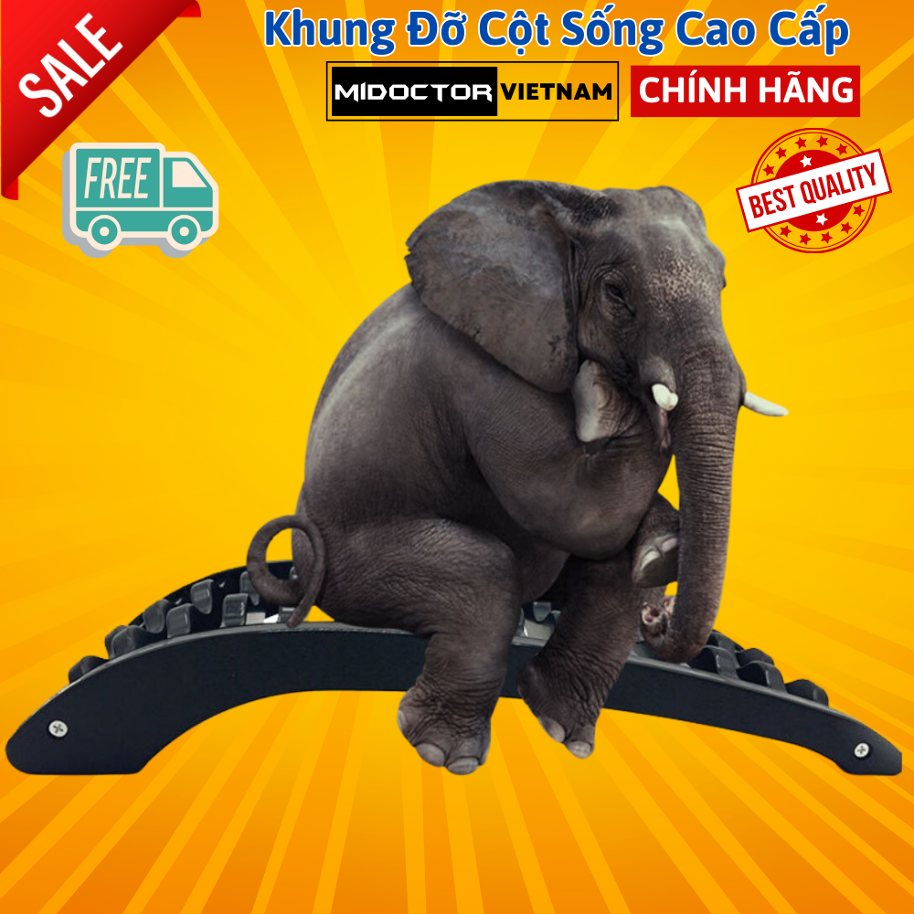 Khung Nắn Chỉnh Cột Sống, Định Hình Cột Sống, Trị Thoát Vị Đĩa Đệm, Đau Lưng, Dụng Cụ Hỗ Trợ Tập Lưng miDoctor