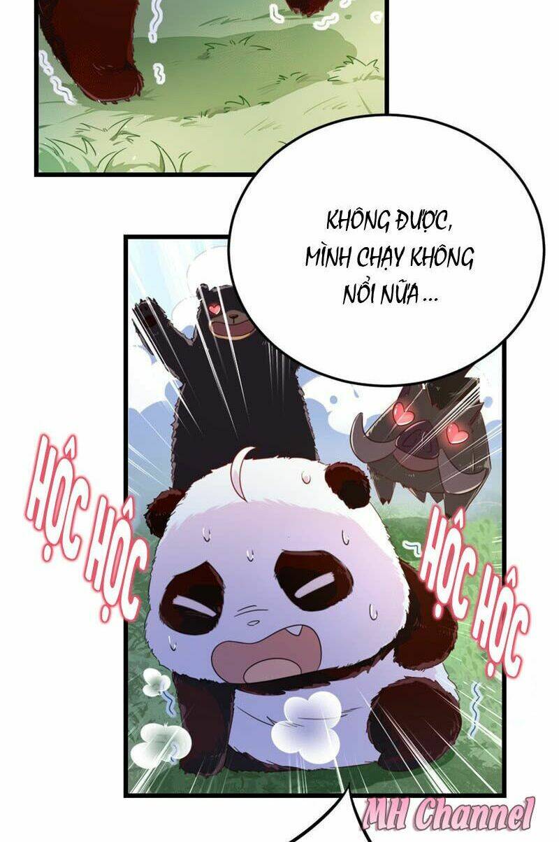 thiên thần gấu trúc muốn được ôm chapter 4 13