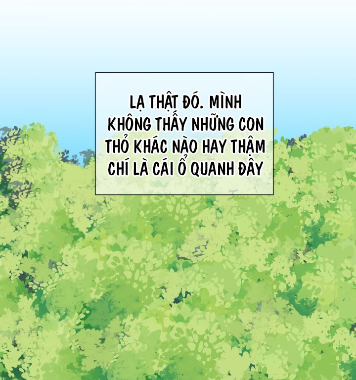 công chúa giả mạo và chú thỏ con chapter 2 4
