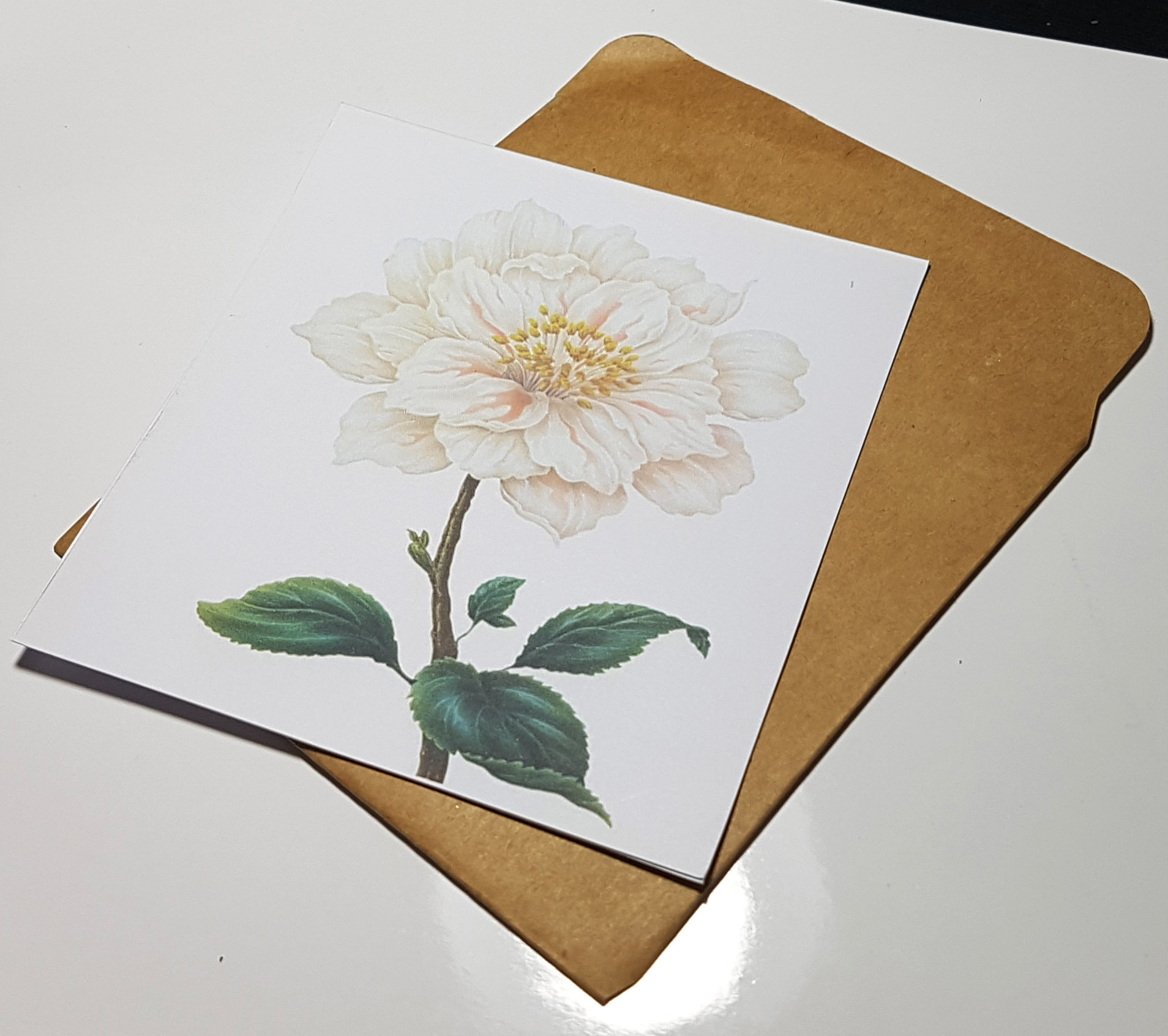Thiệp phong cách Vintage card quà cám ơn ,chúc mừng sinh nhật và giử tặng người thân yêu.
