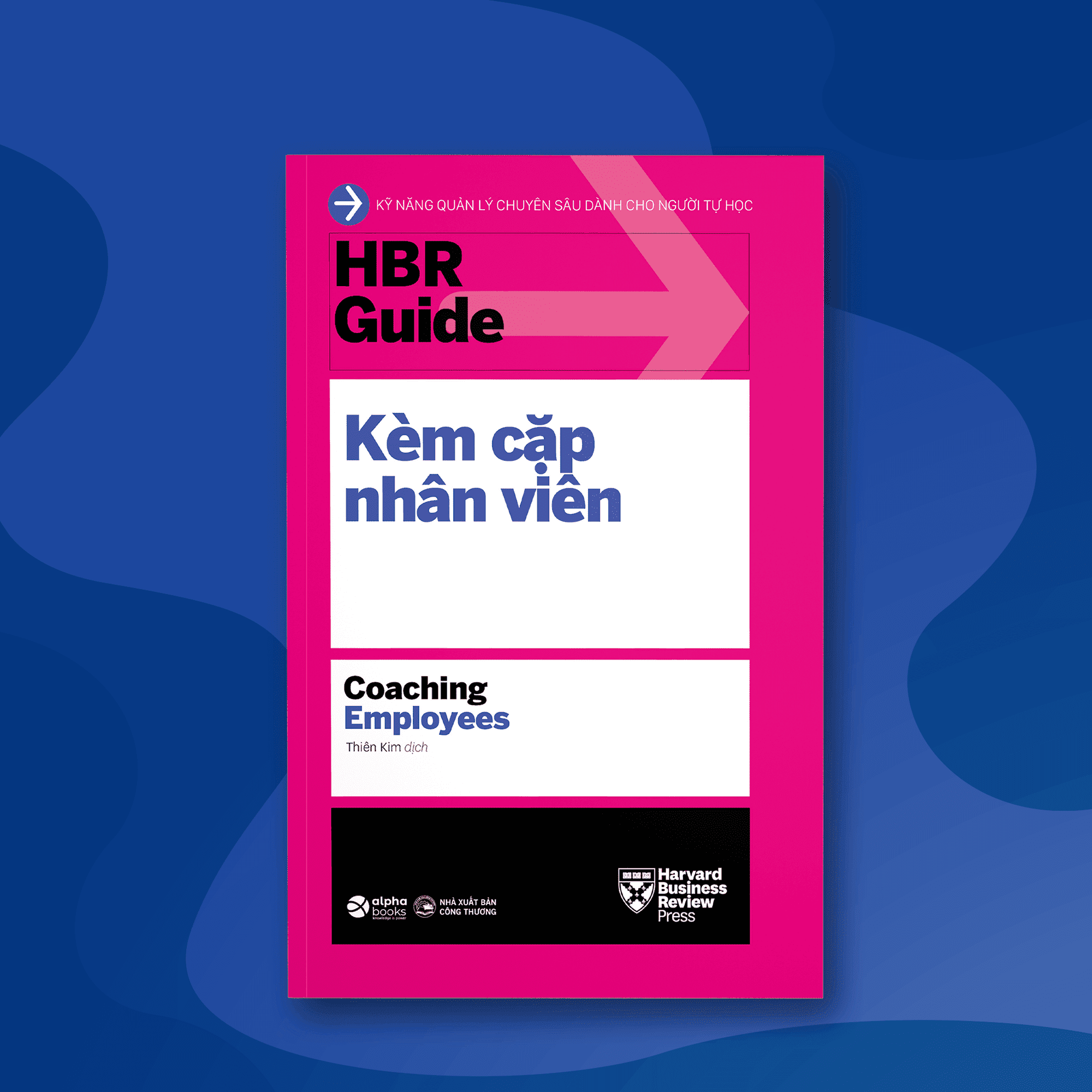 Bộ HBR Guide (Bộ 10 Cuốn) (Tái Bản 2021)