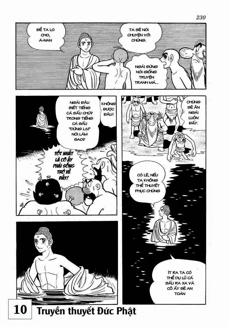 buddha - truyền thuyết đức phật chapter 49 21