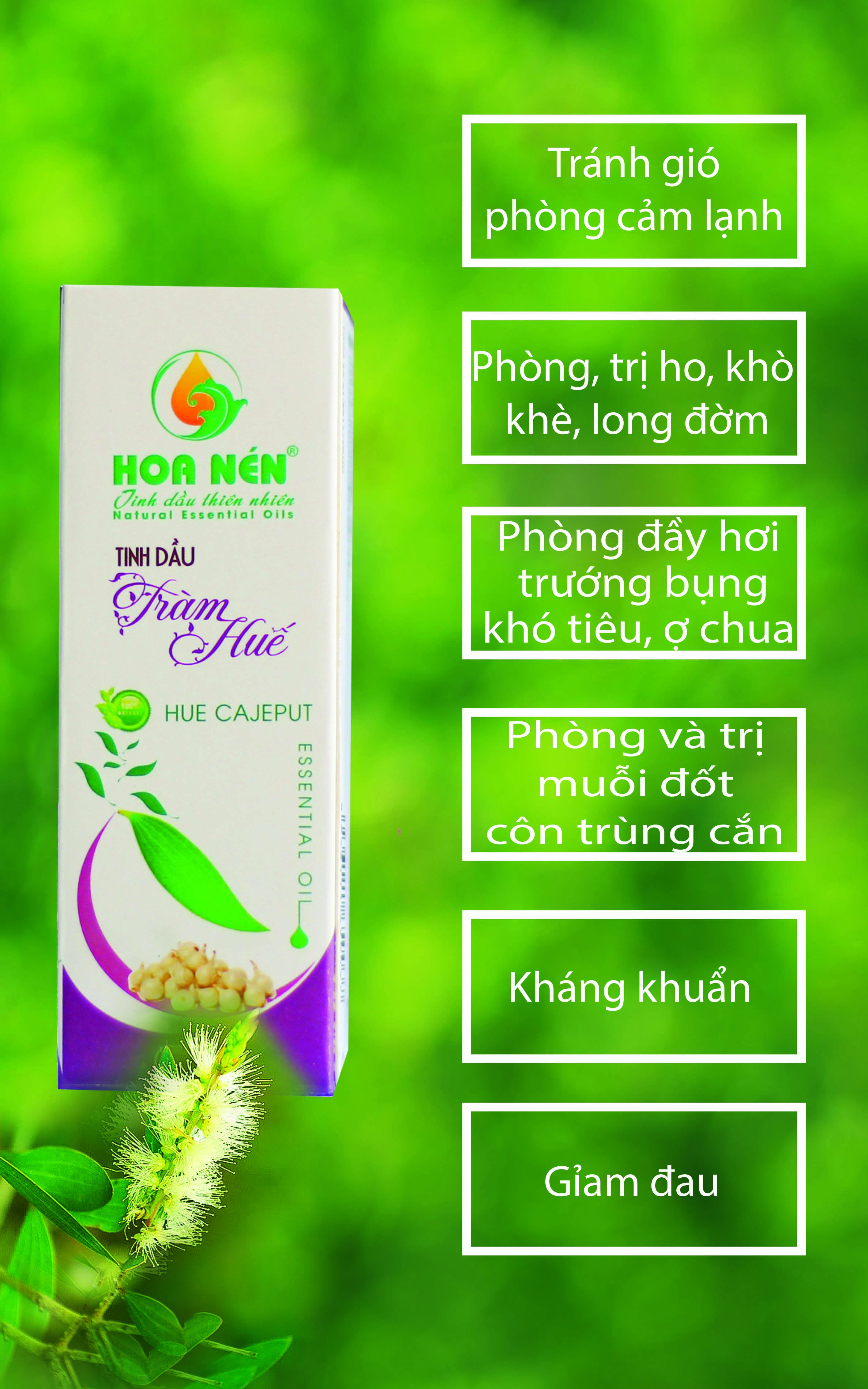 Tinh dầu Tràm ngâm củ nén 10ml - Hoa Nén