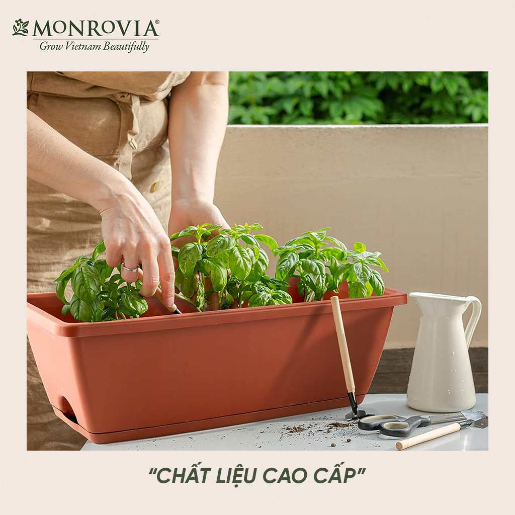Combo chậu nhựa trồng cây chữ nhật kèm giỏ treo hoa ban công Monrovia, chậu trồng rau, khay trồng rau, trồng hoa