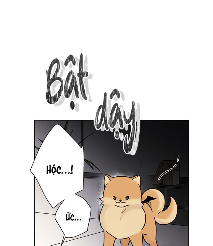 guiding nguy hiểm chapter 8 43