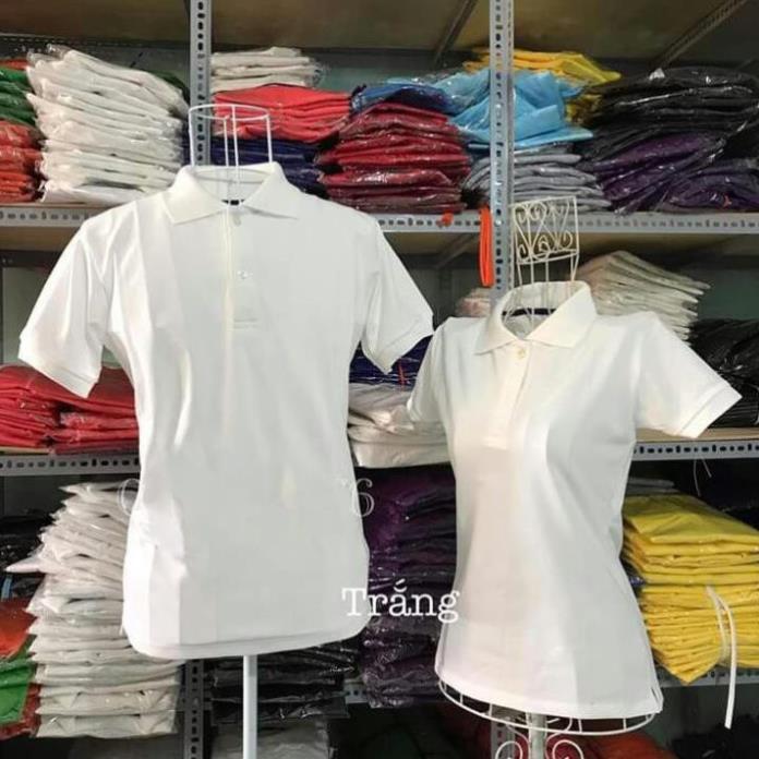 Áo đồng phục thun cá sấu _ AGD 624