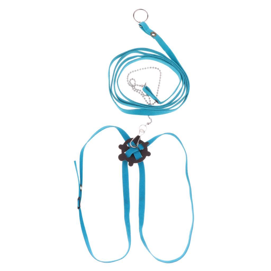 Adjustable Reptile Turtle Harness Leash for Animal