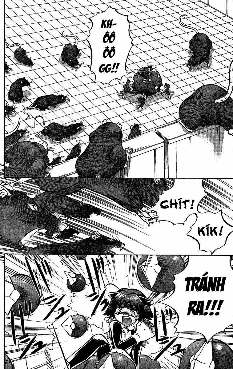 chaosic rune chapter 50 9