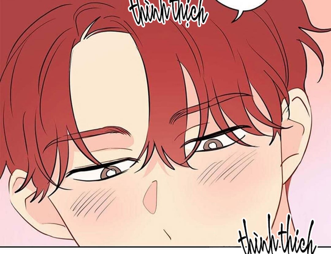 chuyện quái gì với giấc mơ đó vậy chapter 28 93