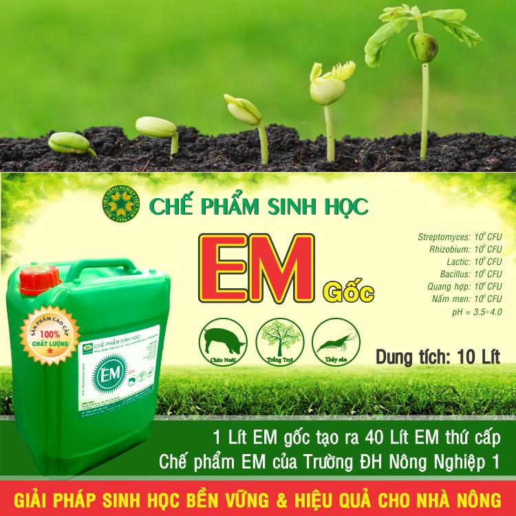 Chế phẩm sinh học EM gốc . Men vi sinh Đại Học Nông Nghiệp 1 Hà Nội. Chứa hàng tỷ bào tử hữu hiệu. Từ 1 lít EM gốc sản xuất ra 40 lít EM thứ cấp. Can 10 lít. HSD: 2 năm