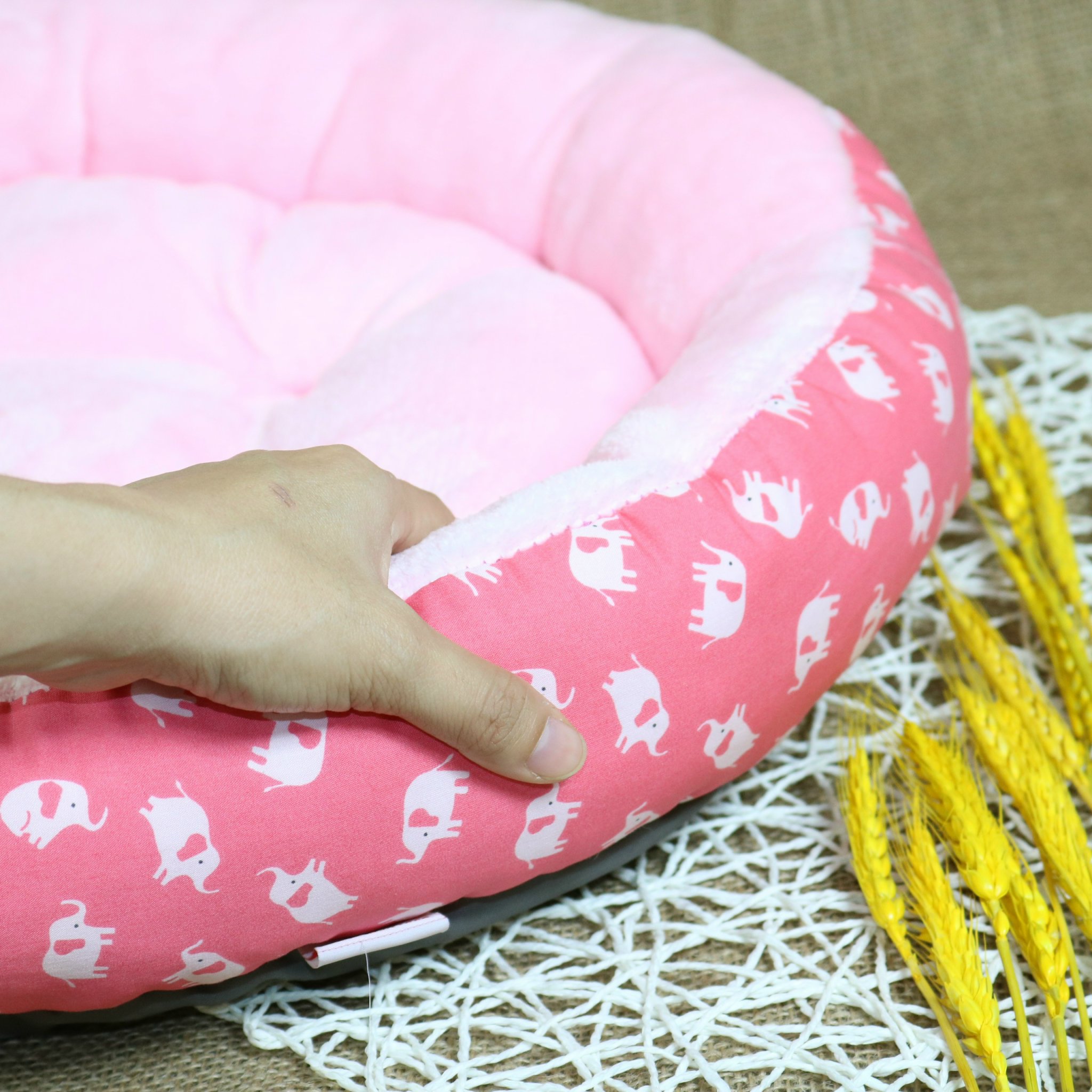 NỆM CHO CHÓ MÈO - NỆM TRÒN TRÁI CÂY