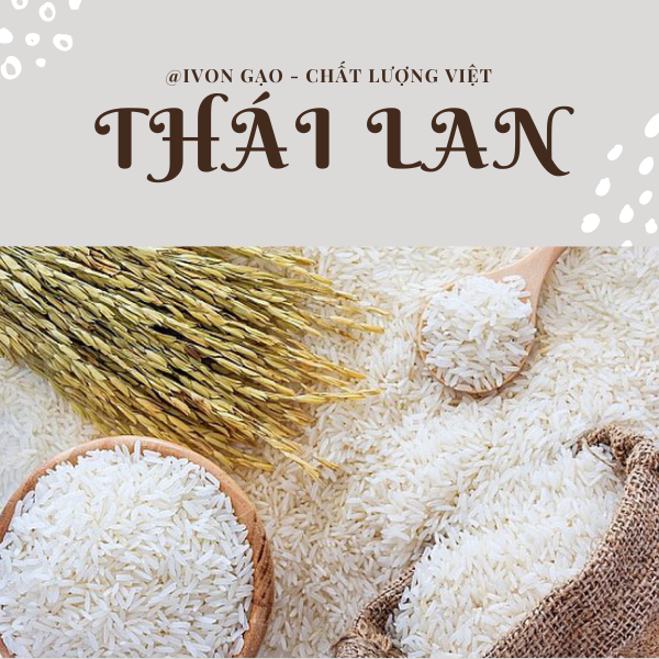 Gạo Thái Lan - Túi 5 kg - Dẻo, thơm, mềm cơm