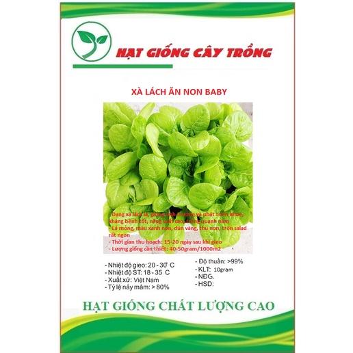 Hạt giống xà lách baby ăn non CT96 - Gói 10gram