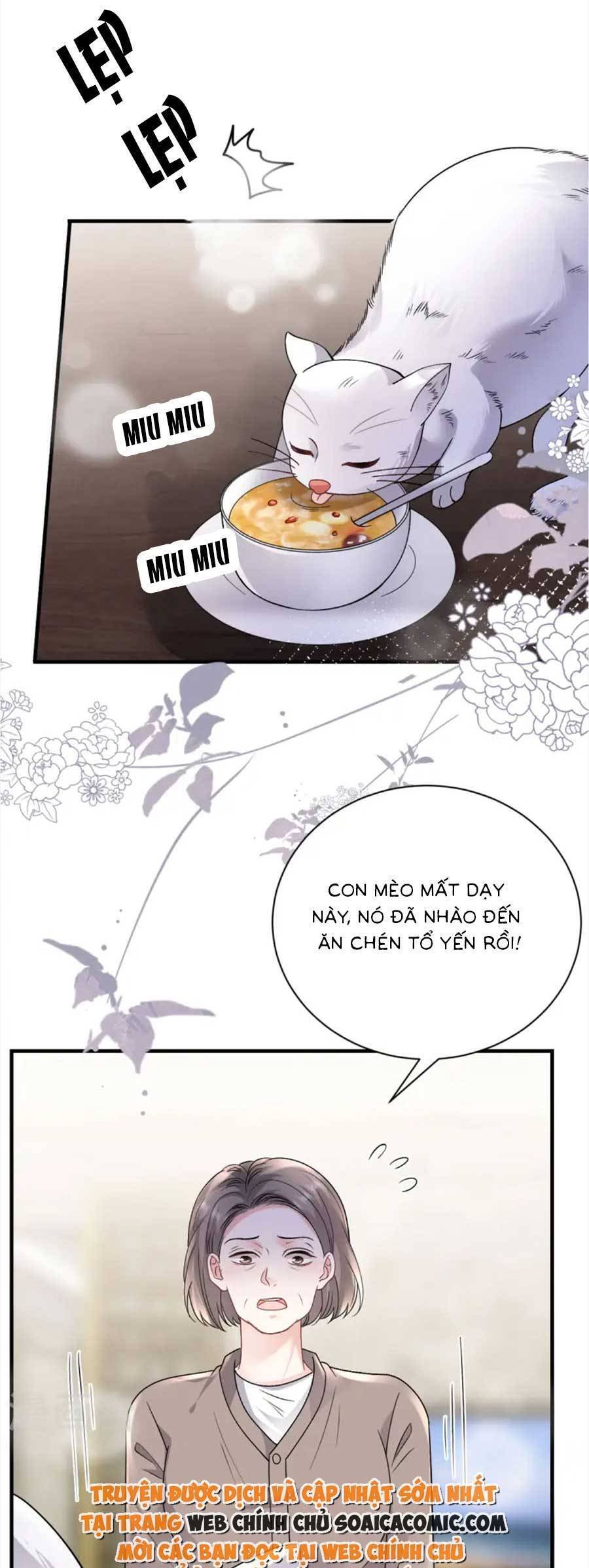 [16+] đại tiểu thư có thể có ý đồ xấu chapter 176 23