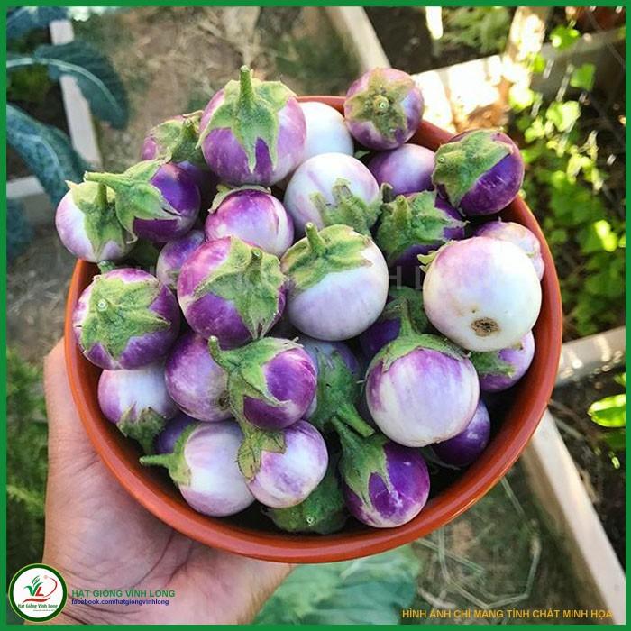 Hạt Giống Cà Pháo Tím Cao Sản -