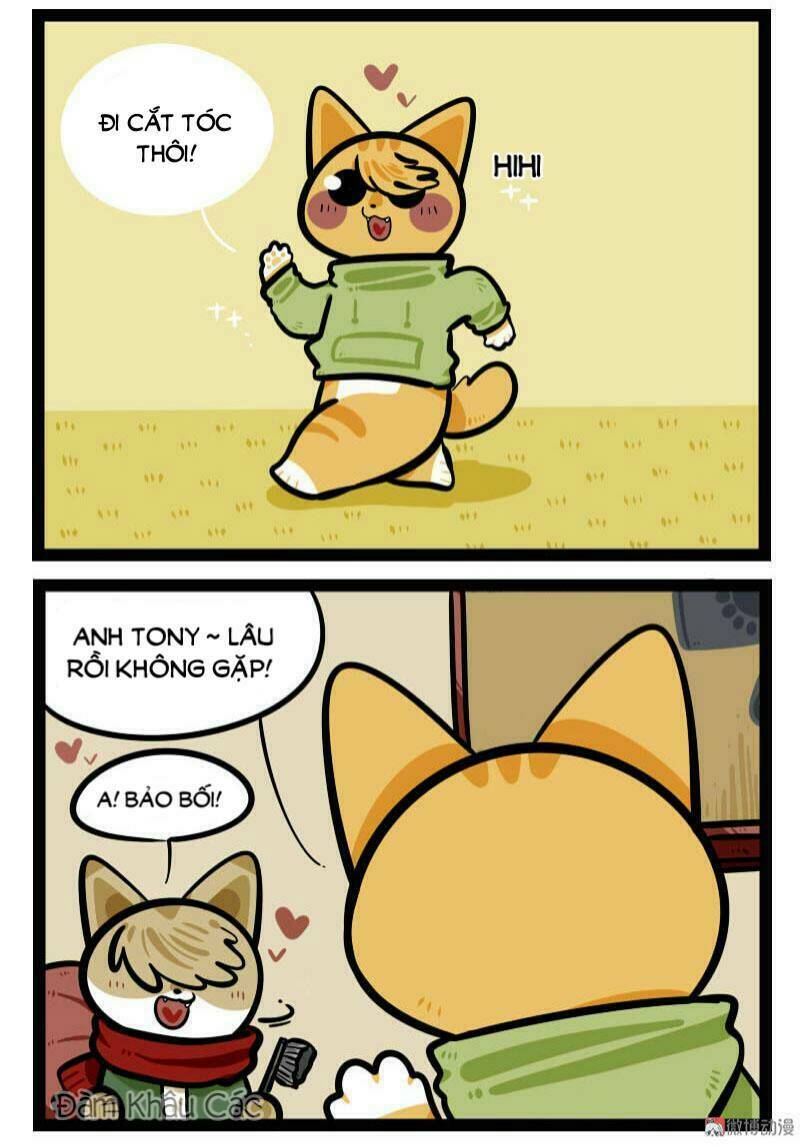 đời không như mình tưởng chapter 66 3