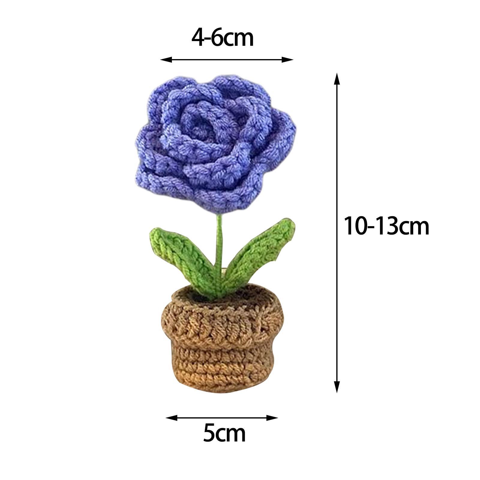 2pcs Handmade DIY Beginner Crochet Kit for Adults and Kids