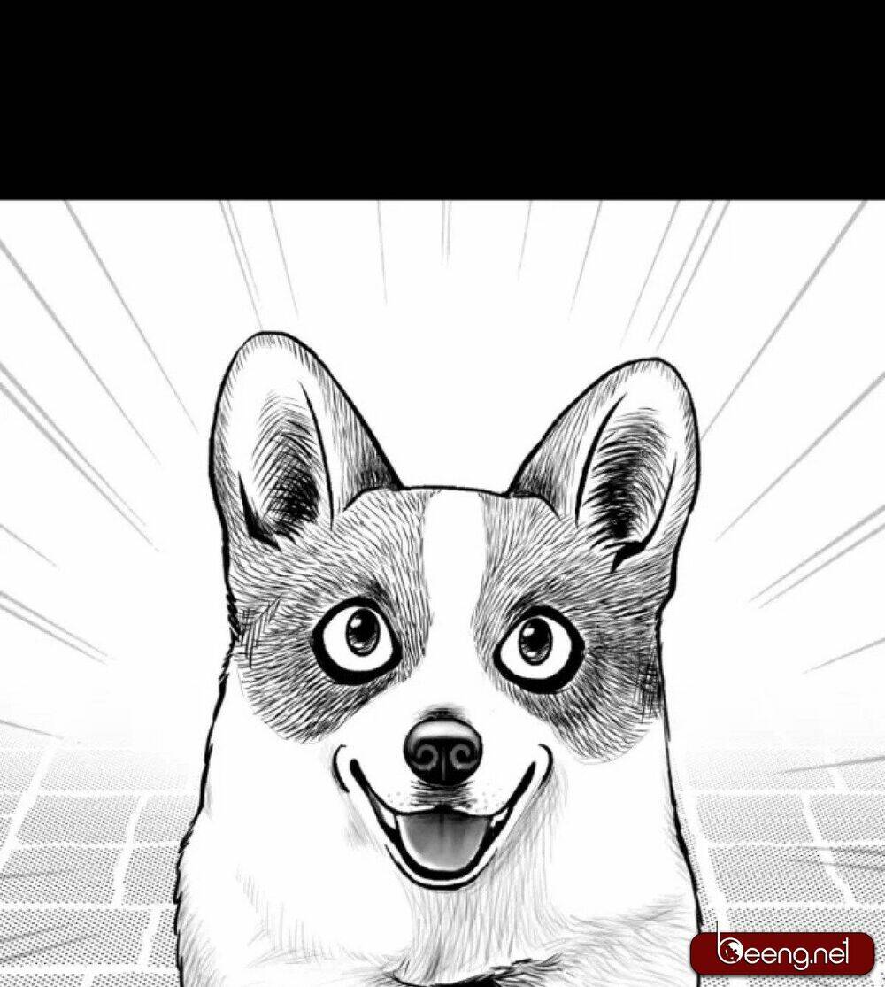 dạ hành khuyển chapter 1 34