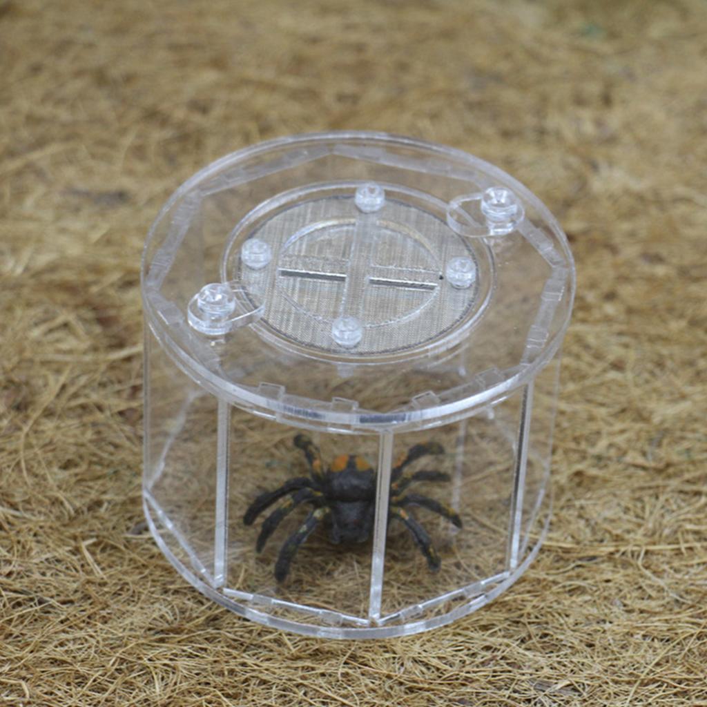 Spider Insect Reptile Tank Vivarium Cage Box Transparent Acrylic Terrarium