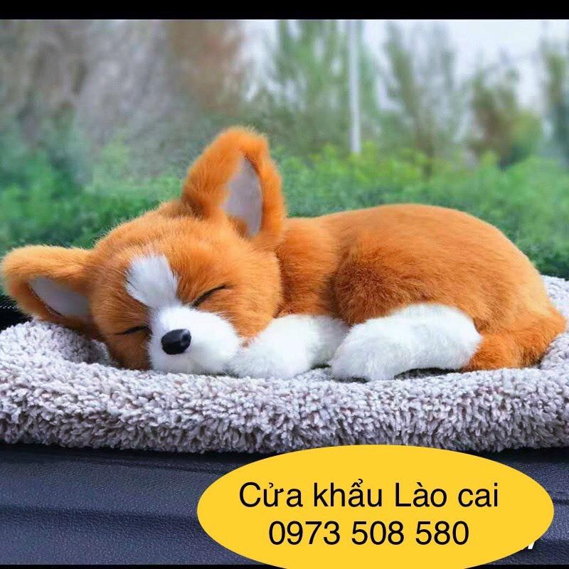 chó Shinba để taplo oto- cún vàng tai thỏ chứa than hoạt tính trang trí nhà cửa bàn làm việc(Size 28-20-13cm)