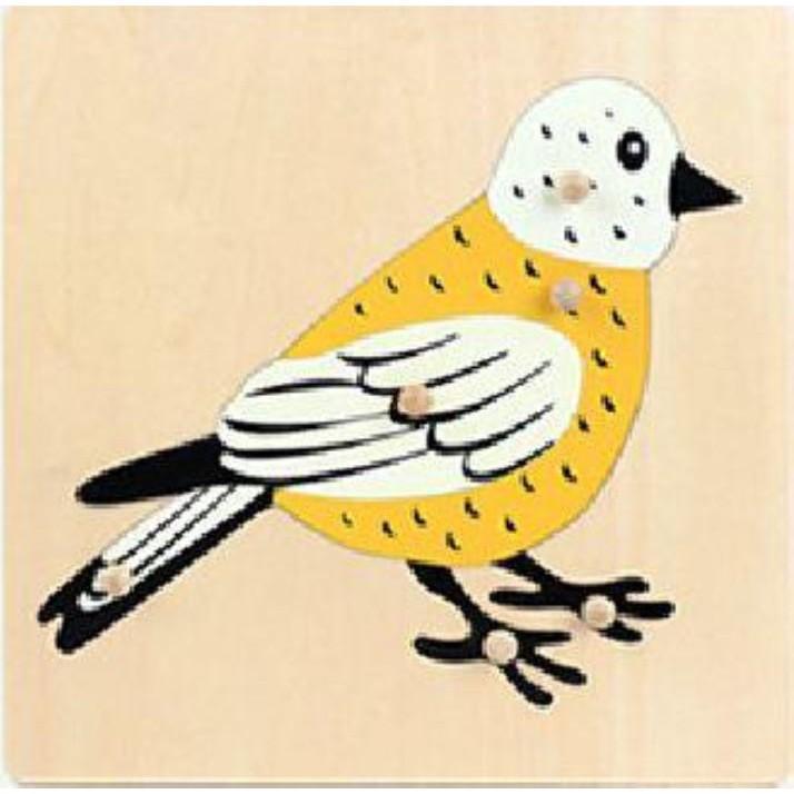 Tranh ghép sinh học - Chim (Bird puzzle)