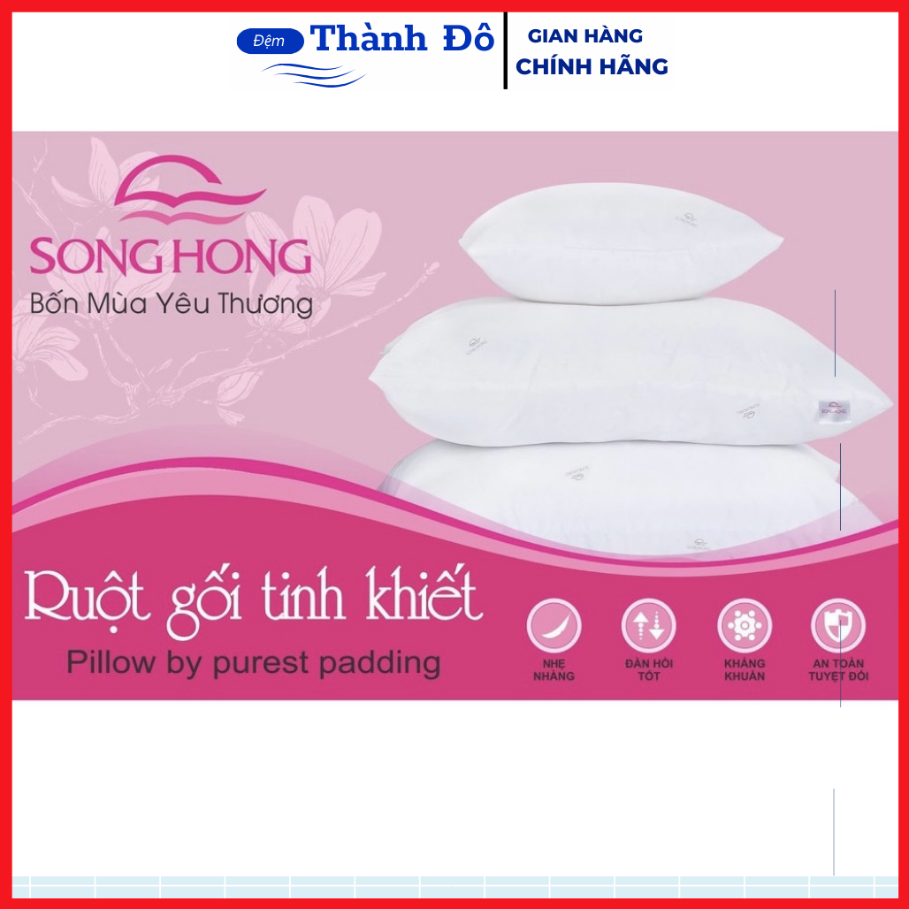 Ruột gối bông tinh khiết sông hồng 45x65