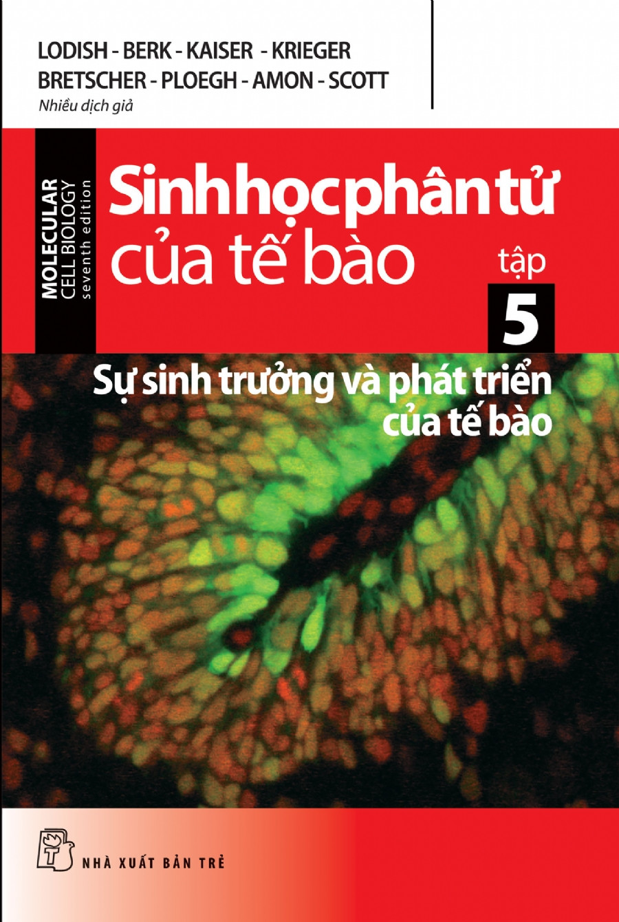 (Ấn bản mới nhất) MOLECULAR CELL BIOLOGY - SINH HỌC PHÂN TỬ CỦA TẾ BÀO (Tập 1-2-3-4-5) - (bộ 5 cuốn, bìa mềm)