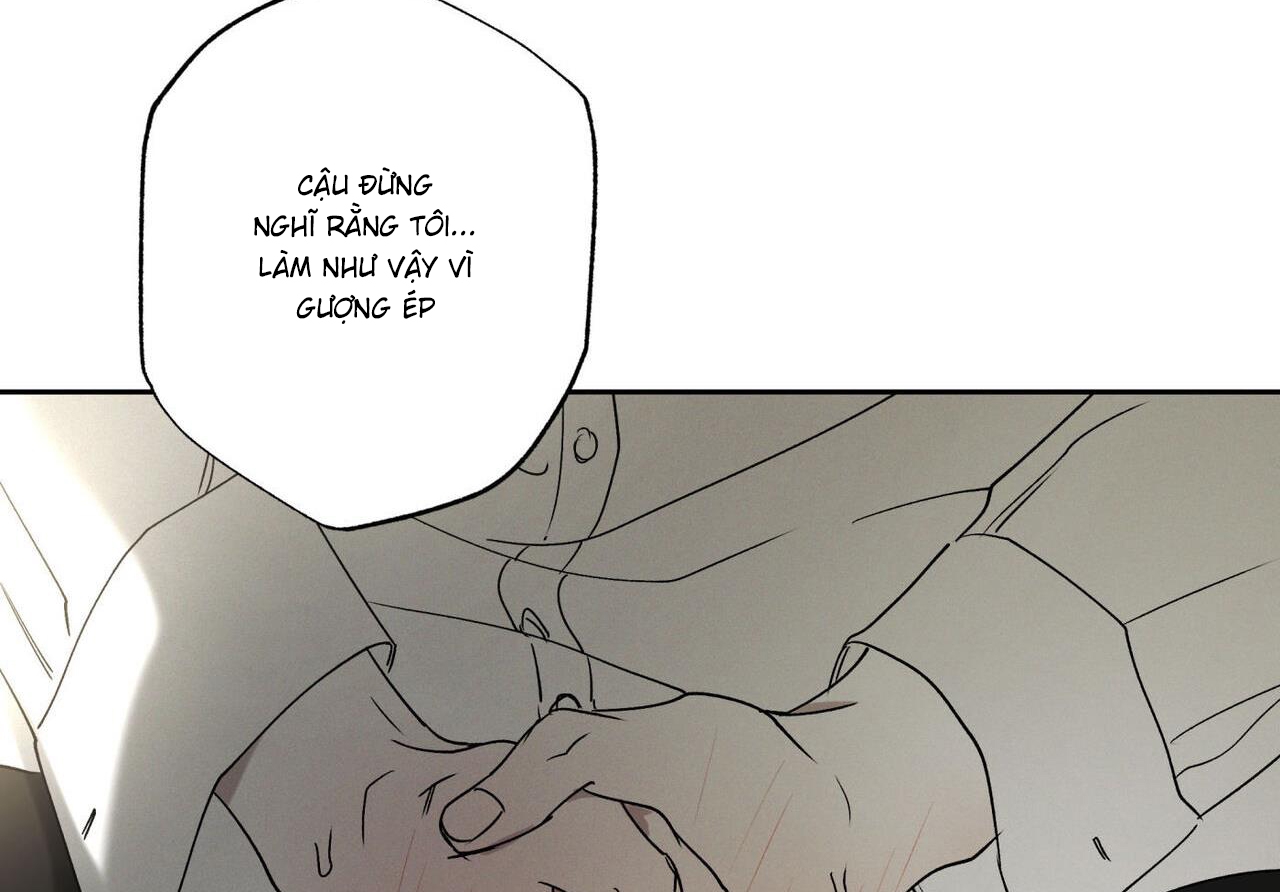 chàng giao pizza và gold palace chapter 45 16