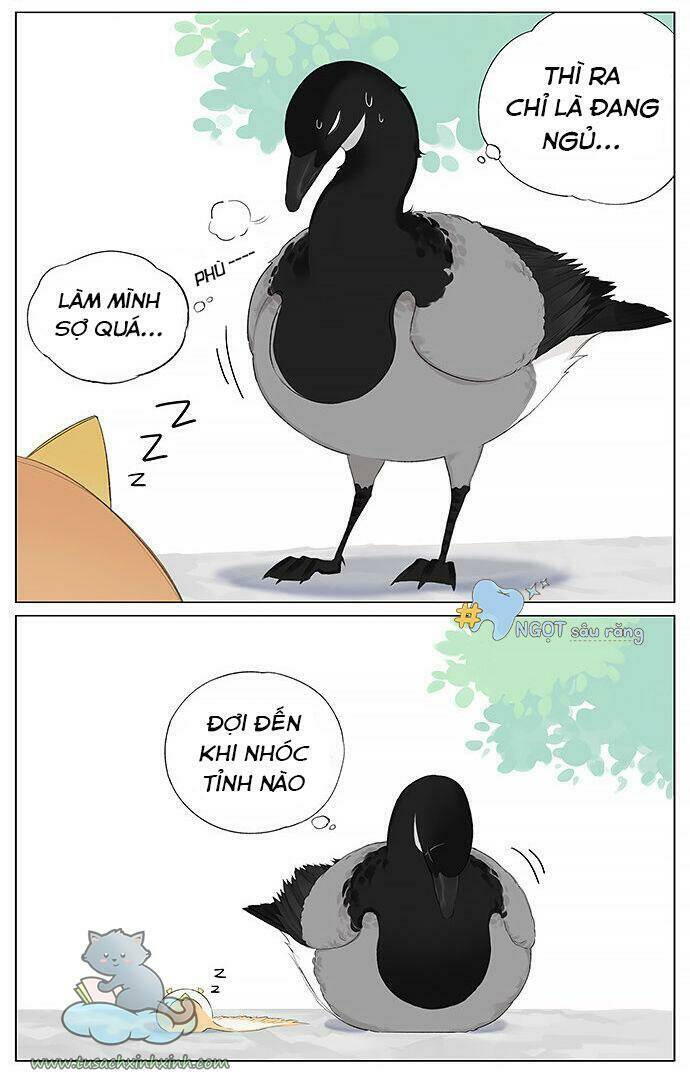 chim sẻ gọi ngỗng trời chapter 12 3