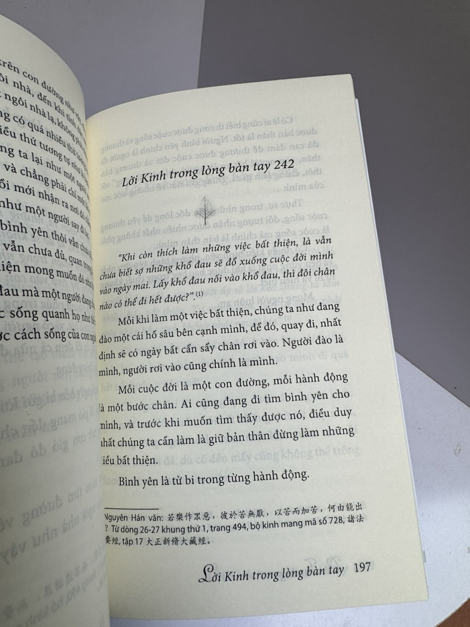 CUỘC SỐNG NHÌN TỪ Ô CỬA THIỀN - Tập 2 - tác giả Vô Thường - Bìa mềm