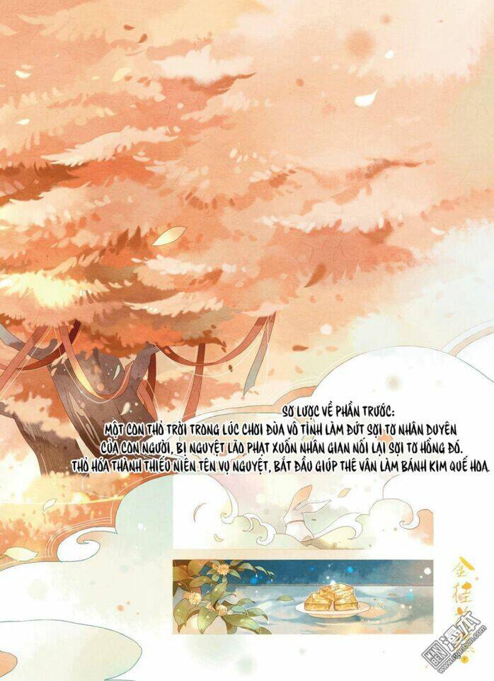 kim quế hoa cao chapter 2 2