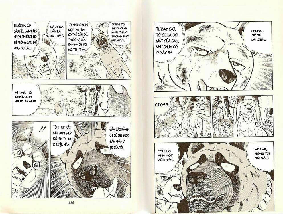 chú chó có nghĩa - ginga nagareboshi gin chapter 20 6