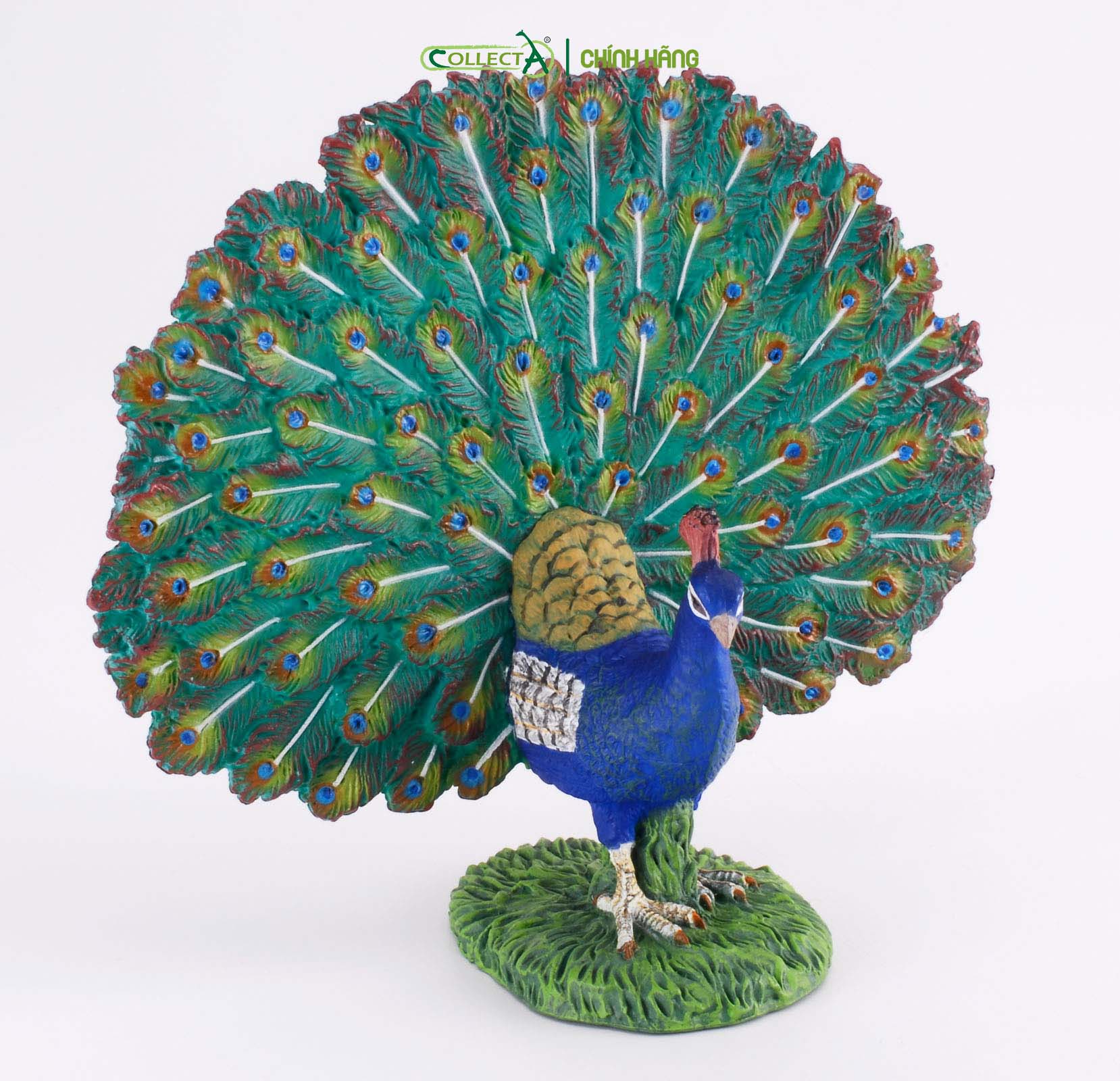 Mô hình thu nhỏ: Công - Peacock, hiệu: CollectA, mã HS 9651280 - Chất liệu an toàn cho trẻ - Hàng chính hãng