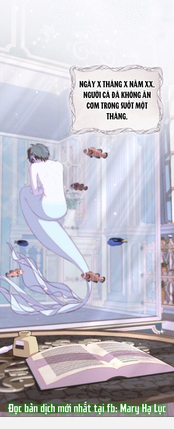 chàng tiên cá mắc kẹt trong hồ của tôi chapter 2.2 8