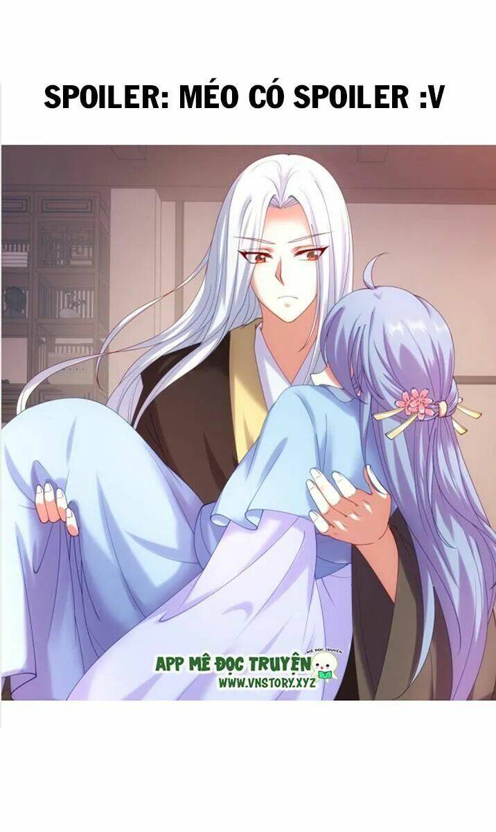 đô đốc đại nhân sủng thê kí chapter 42 22