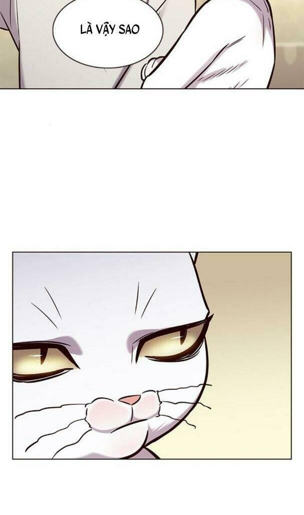 biến thân thành mèo chapter 180 13