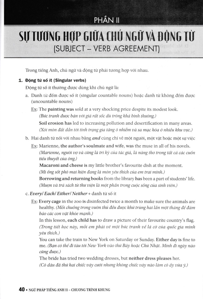 Ngữ Pháp Tiếng Anh 11  _ZEN