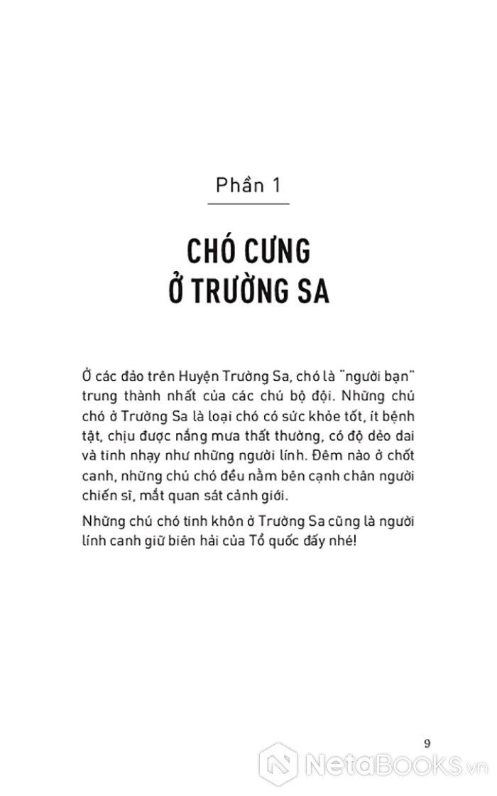 Sách - Kể Chuyện Biển Đảo - Một Chuyến Du Hành Ra Trường Sa Và Nhà Giàn DK1