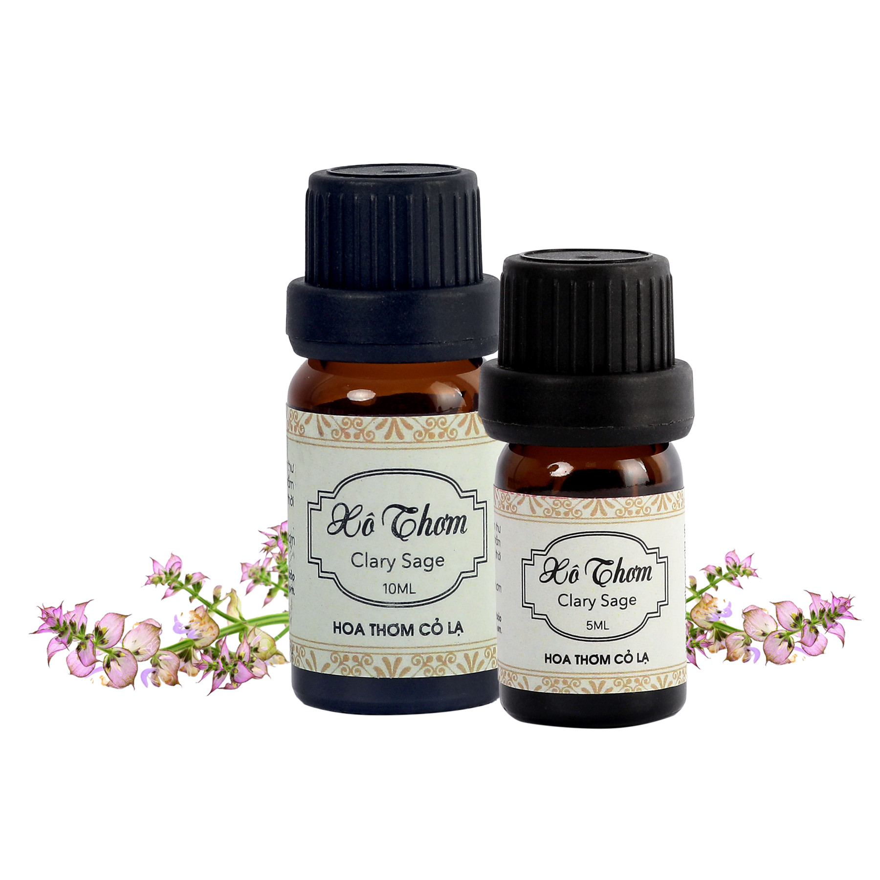 Tinh Dầu Xô Thơm - Clary Sage Essential Oil 5ml - Hoa Thơm Cỏ Lạ