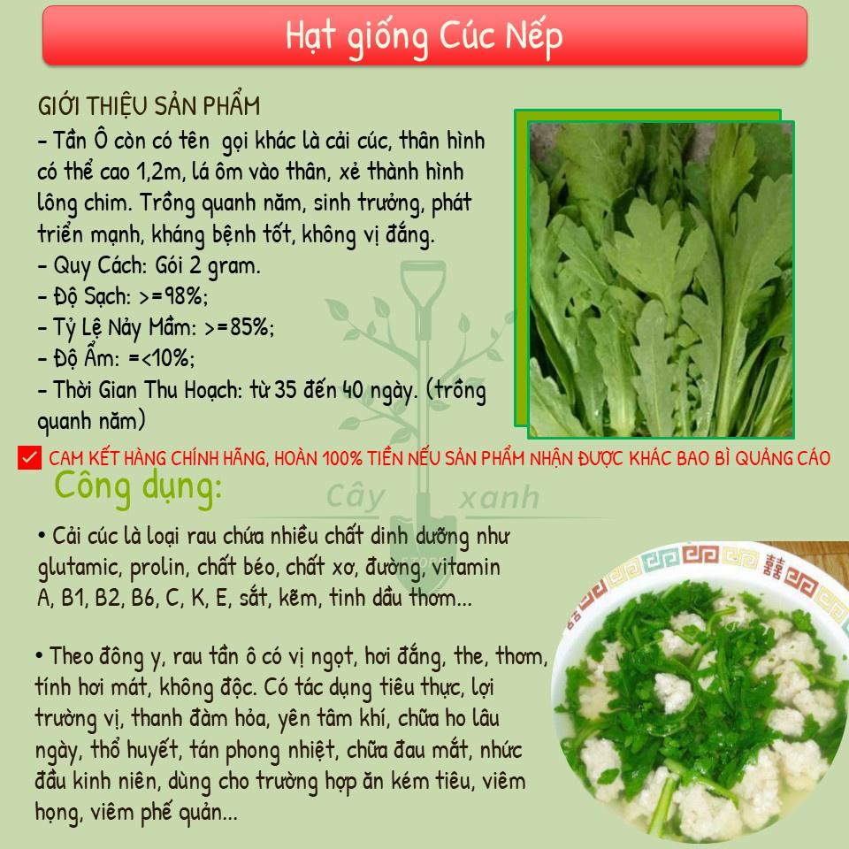 Hạt Giống Rau Cải Cúc Nếp, Tần Ô Lá Tròn 20Gr - Phú Nông Seeds
